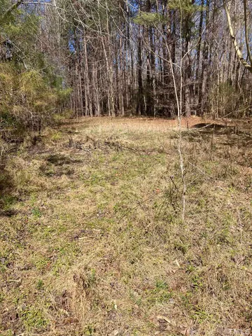 a view of outdoor space with lots of trees