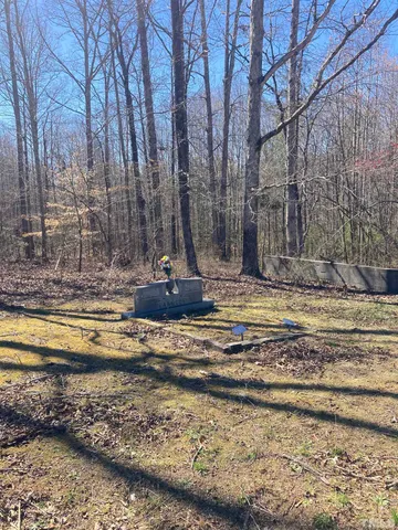 a view of a backyard with trees