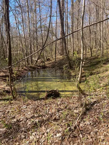 a view of a tree with a yard