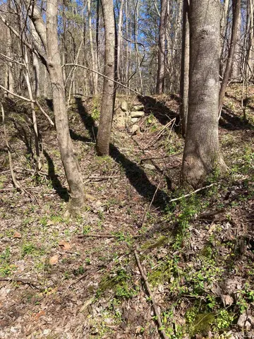 a view of a backyard of the house