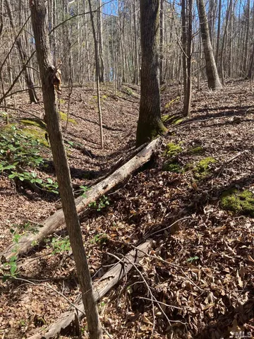 $45,000 | 0 L & S Lane, Henderson, NC 27537