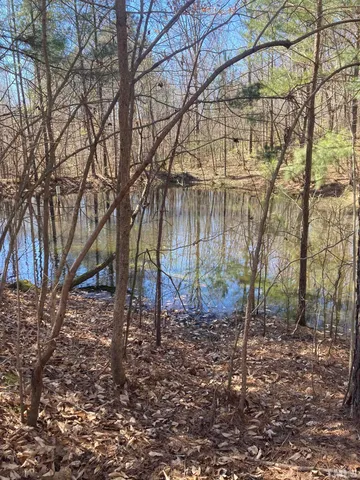 a view of a yard with large trees