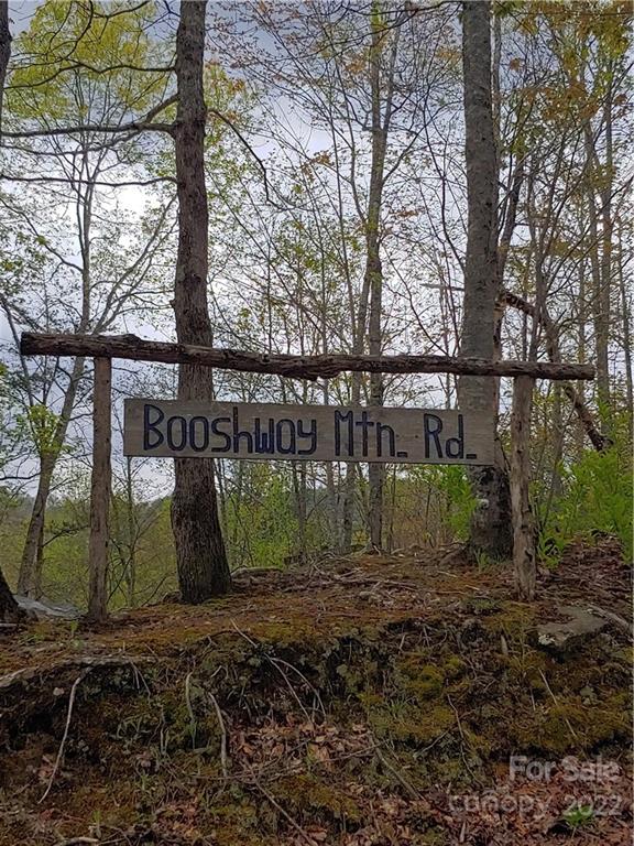 0 Booshway Mountain Road Tuckasegee, NC 28783 - Photo 1 of 27 Gallery Image 1