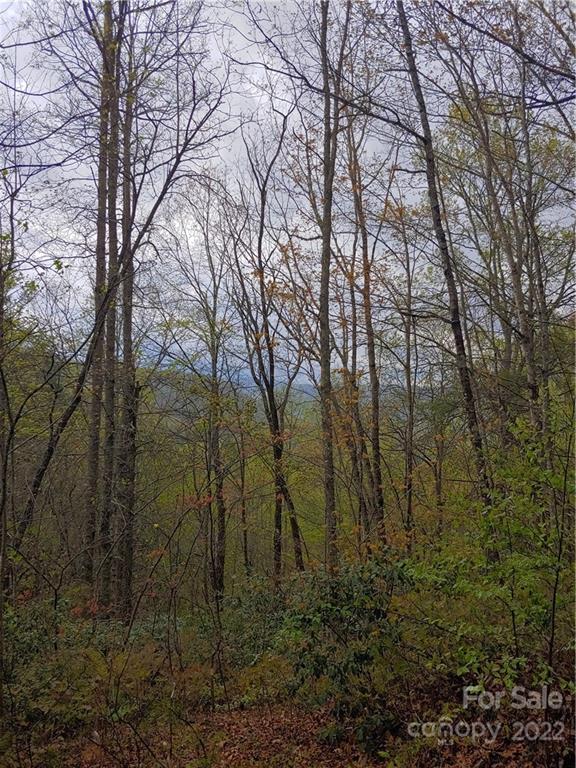 0 Booshway Mountain Road Tuckasegee, NC 28783 - Photo 11 of 27 Gallery Image 11