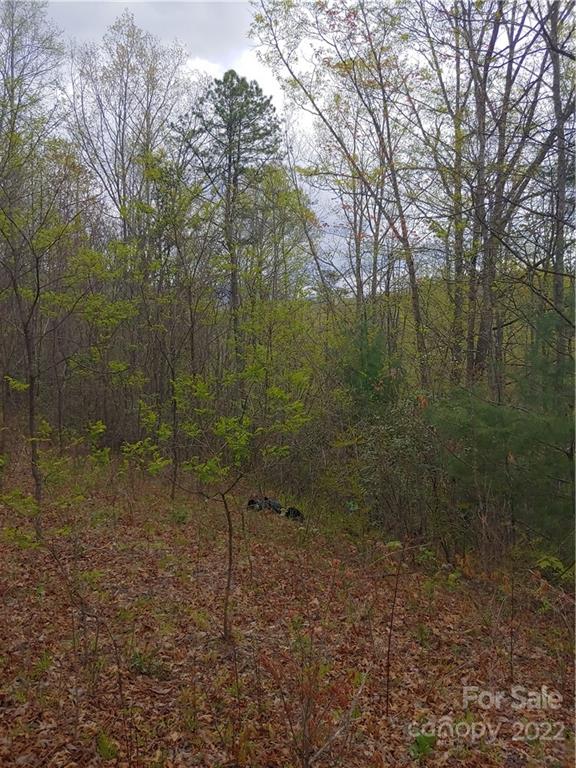 0 Booshway Mountain Road Tuckasegee, NC 28783 - Photo 12 of 27 Gallery Image 12