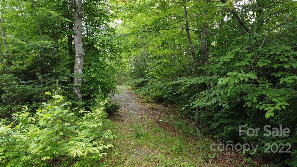 0 Booshway Mountain Road Tuckasegee, NC 28783 - Photo 16 of 27 Gallery Image 16