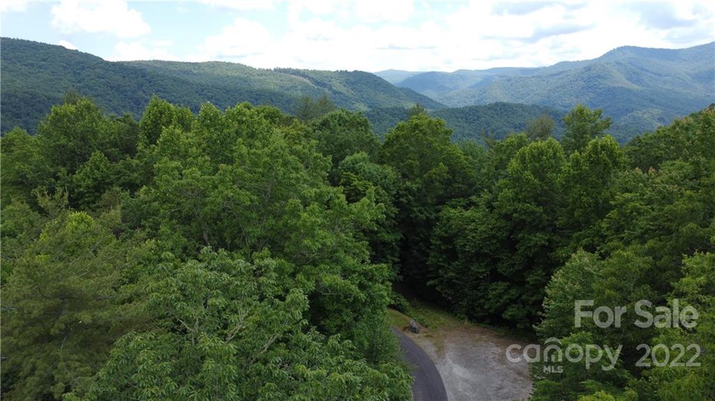 0 Booshway Mountain Road Tuckasegee, NC 28783 - Photo 17 of 27 Gallery Image 17