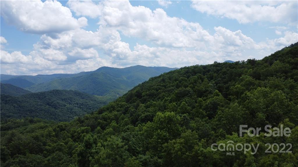 0 Booshway Mountain Road Tuckasegee, NC 28783 - Photo 18 of 27 Gallery Image 18