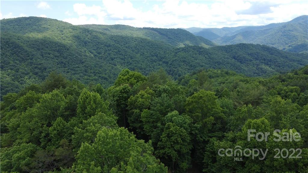 0 Booshway Mountain Road Tuckasegee, NC 28783 - Photo 19 of 27 Gallery Image 19