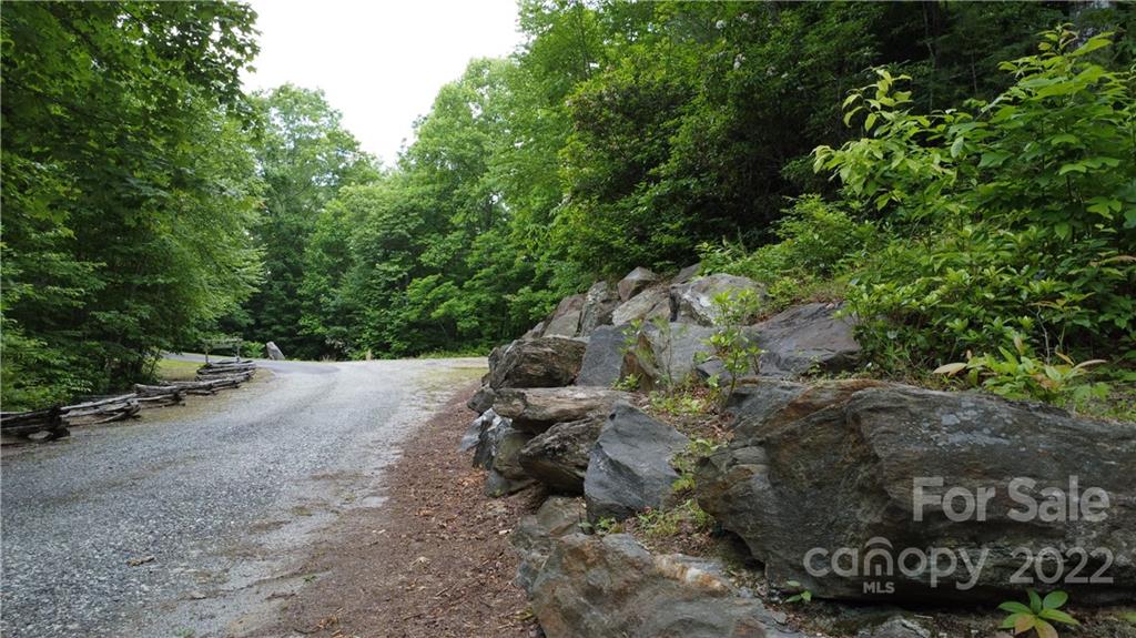 0 Booshway Mountain Road Tuckasegee, NC 28783 - Photo 20 of 27 Gallery Image 20