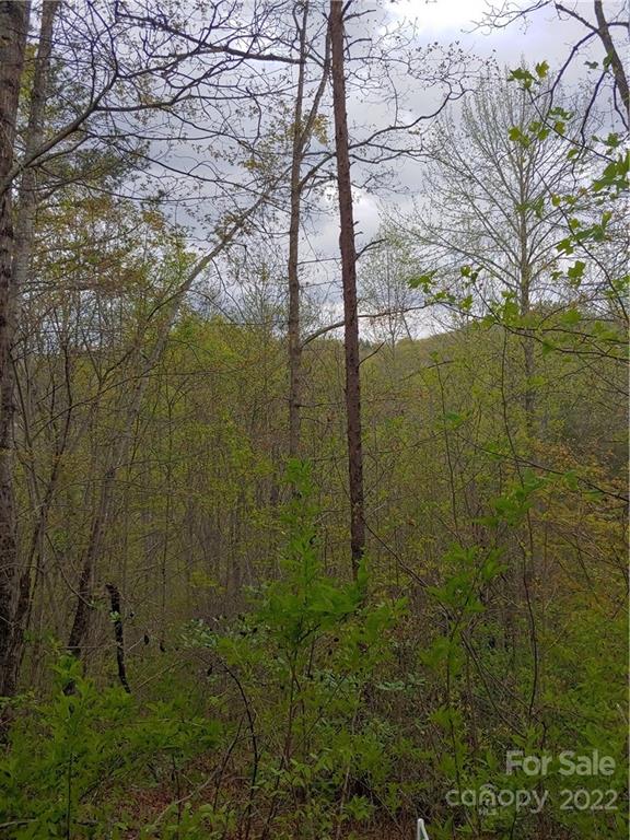 0 Booshway Mountain Road Tuckasegee, NC 28783 - Photo 2 of 27 Gallery Image 2