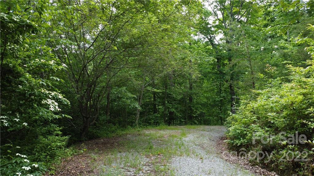 0 Booshway Mountain Road Tuckasegee, NC 28783 - Photo 22 of 27 Gallery Image 22