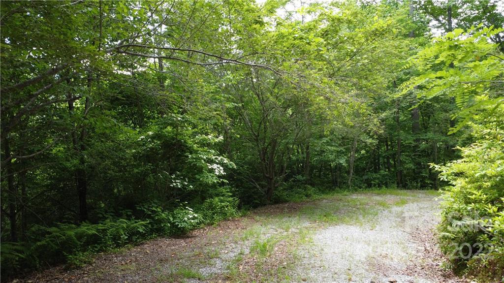0 Booshway Mountain Road Tuckasegee, NC 28783 - Photo 23 of 27 Gallery Image 23