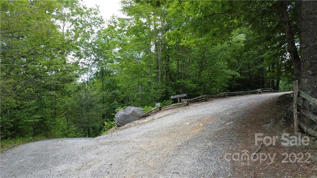 0 Booshway Mountain Road Tuckasegee, NC 28783 - Photo 24 of 27 Gallery Image 24
