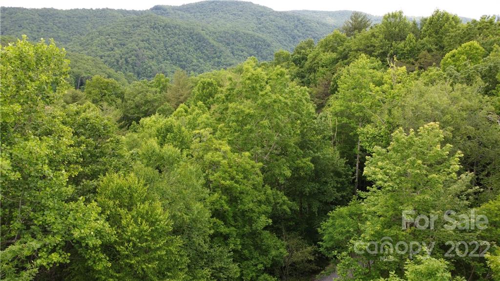0 Booshway Mountain Road Tuckasegee, NC 28783 - Photo 26 of 27 Gallery Image 26