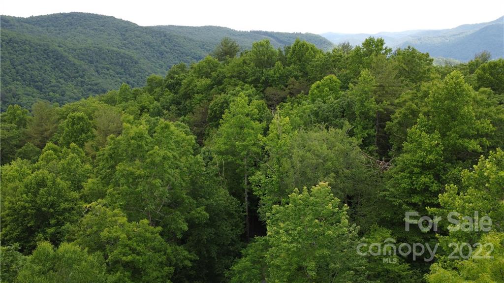 0 Booshway Mountain Road Tuckasegee, NC 28783 - Photo 27 of 27 Gallery Image 27