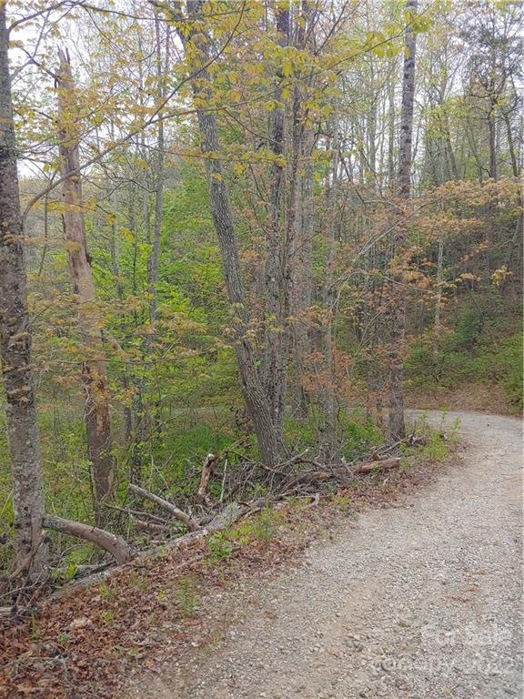 0 Booshway Mountain Road Tuckasegee, NC 28783 - Photo 3 of 27 Gallery Image 3