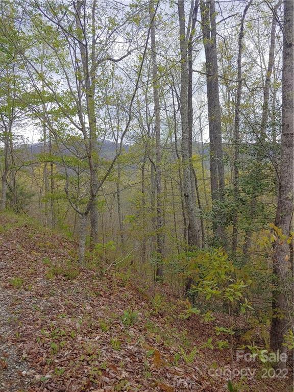0 Booshway Mountain Road Tuckasegee, NC 28783 - Photo 4 of 27 Gallery Image 4