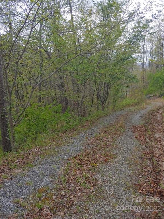 0 Booshway Mountain Road Tuckasegee, NC 28783 - Photo 5 of 27 Gallery Image 5