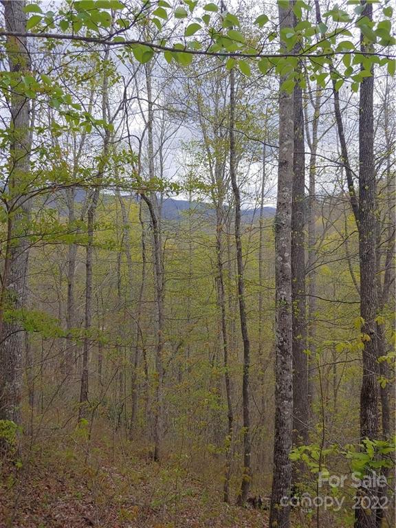 0 Booshway Mountain Road Tuckasegee, NC 28783 - Photo 6 of 27 Gallery Image 6