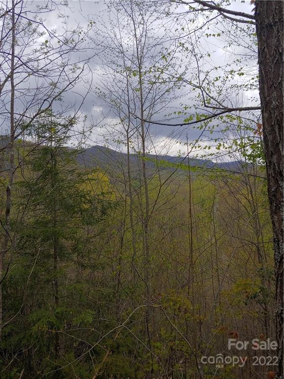 0 Booshway Mountain Road Tuckasegee, NC 28783 - Photo 7 of 27 Gallery Image 7