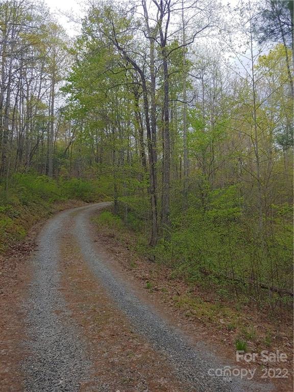 0 Booshway Mountain Road Tuckasegee, NC 28783 - Photo 8 of 27 Gallery Image 8