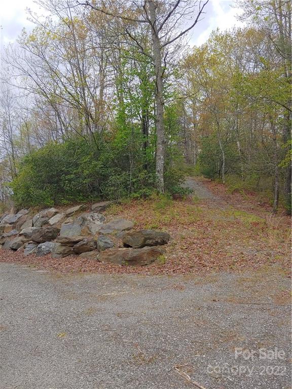 0 Booshway Mountain Road Tuckasegee, NC 28783 - Photo 9 of 27 Gallery Image 9