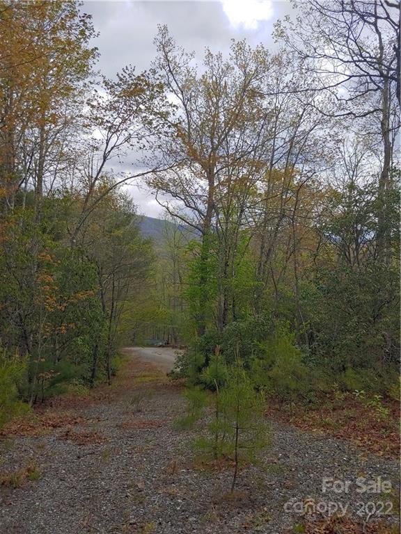 0 Booshway Mountain Road Tuckasegee, NC 28783 - Photo 10 of 27 Gallery Image 10