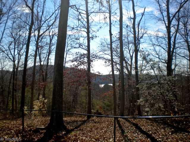 2602 Stokes Road Denton, NC 27239 - Photo 10 of 16 Other. Views