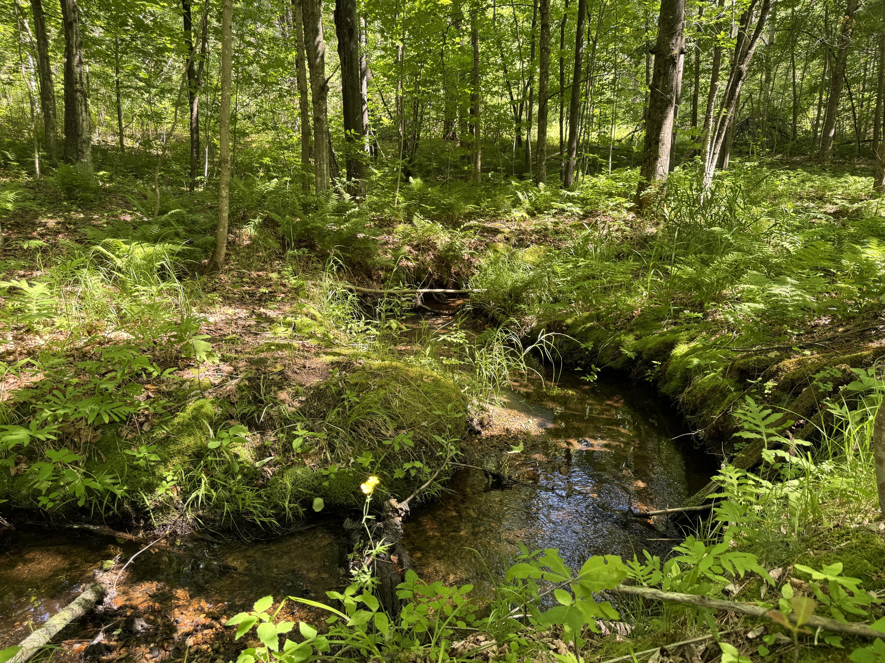 0 Main Street Lovell, ME 04051 - Photo 16 of 18 Brook