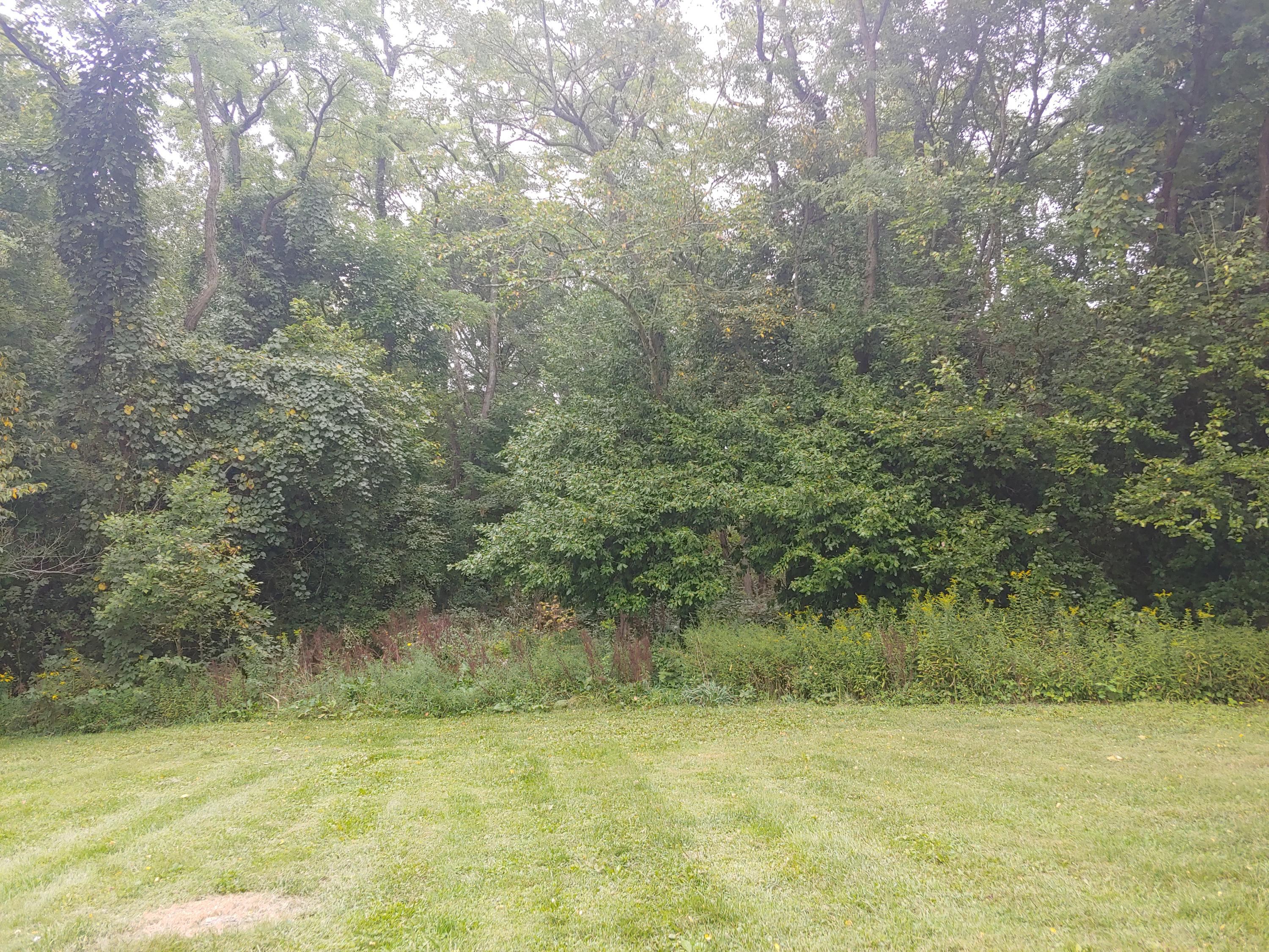 134 Coover Road Delaware, OH 43015 - Photo 9 of 21