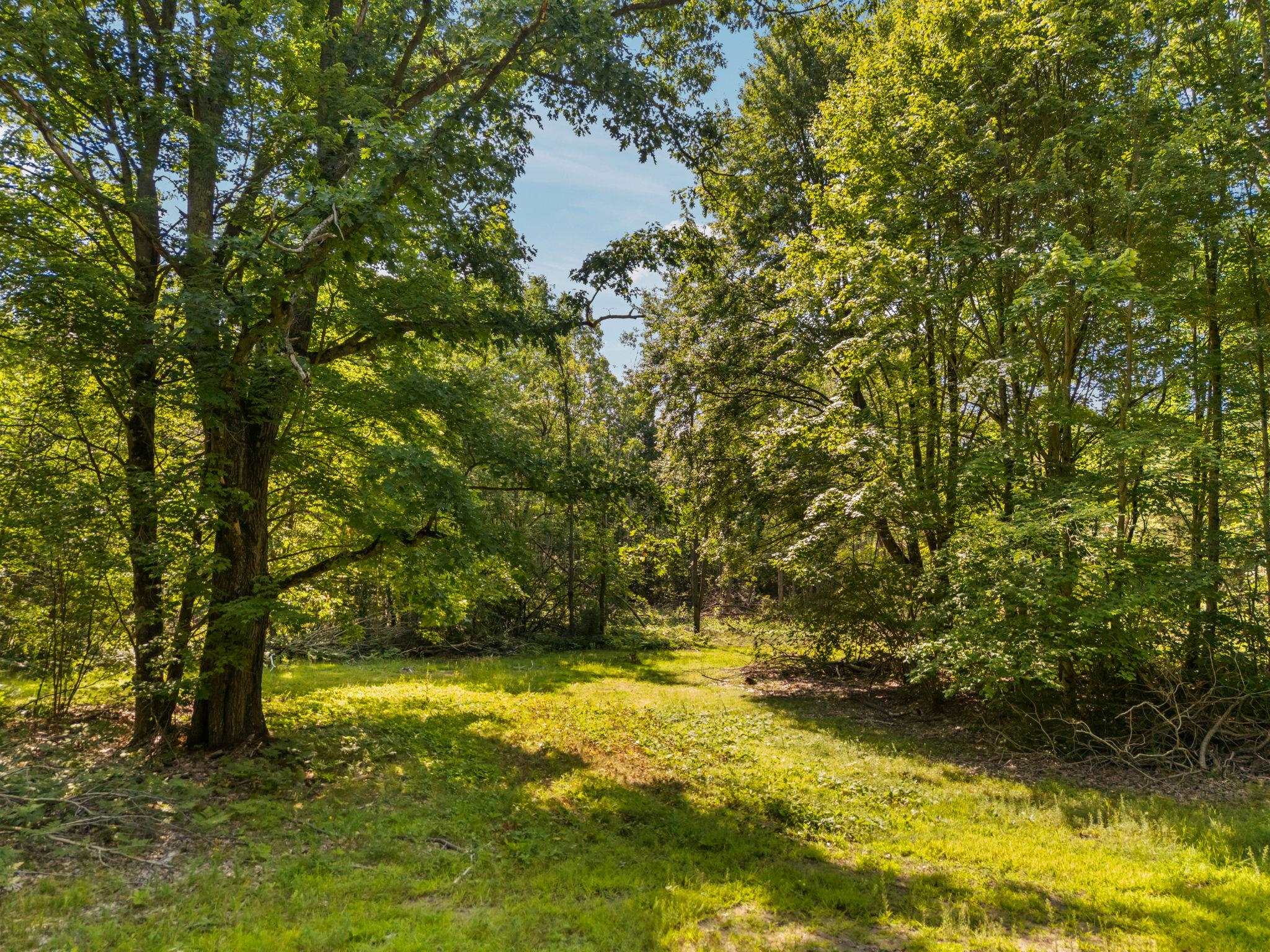 18150 Stronach Dam Road Wellston, MI 49689 - Photo 42 of 42 Gallery Image 42