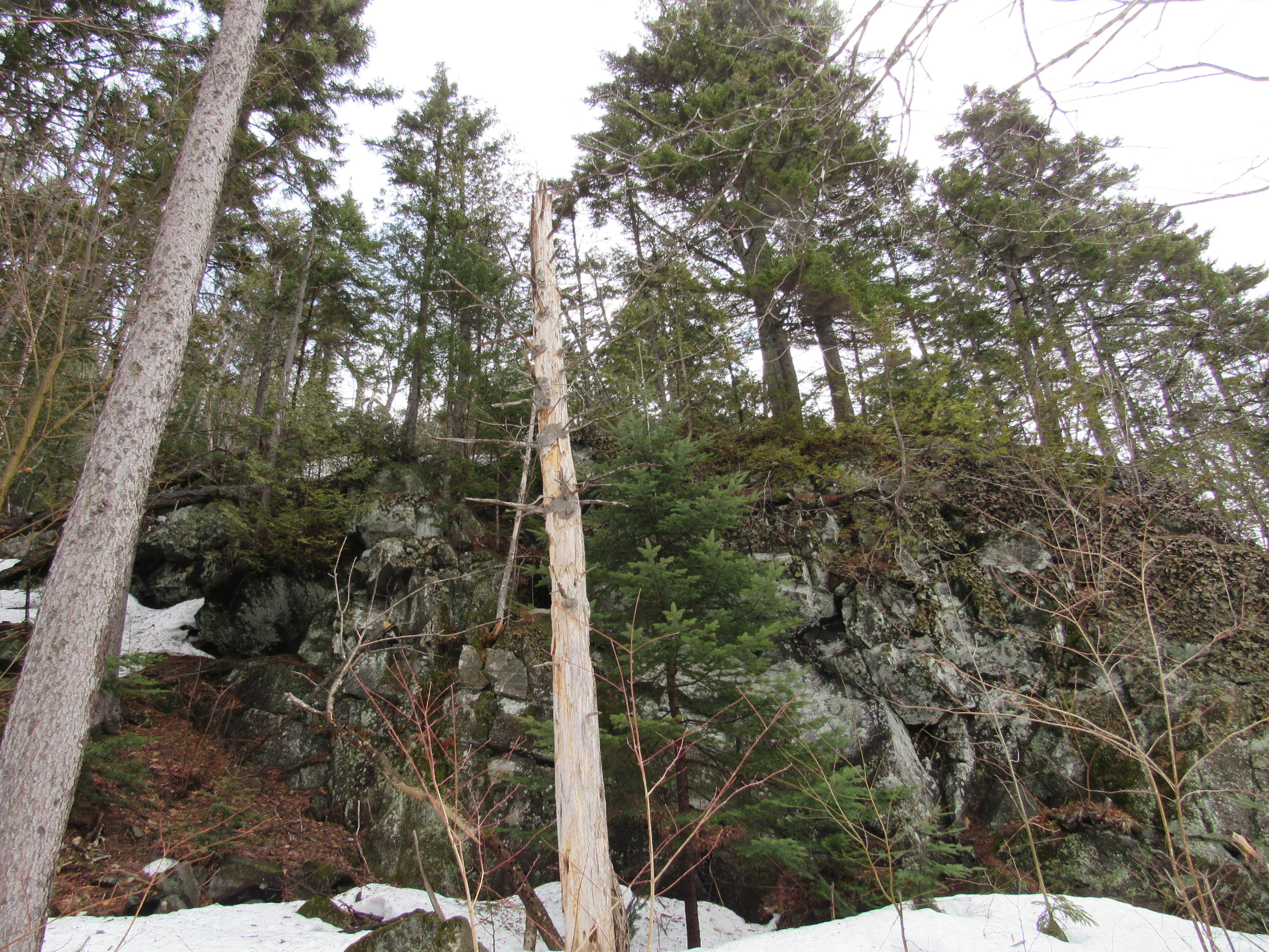 2009 Birch Trail Road Kingfield, ME 04947 - Photo 11 of 11 Scenic ledge