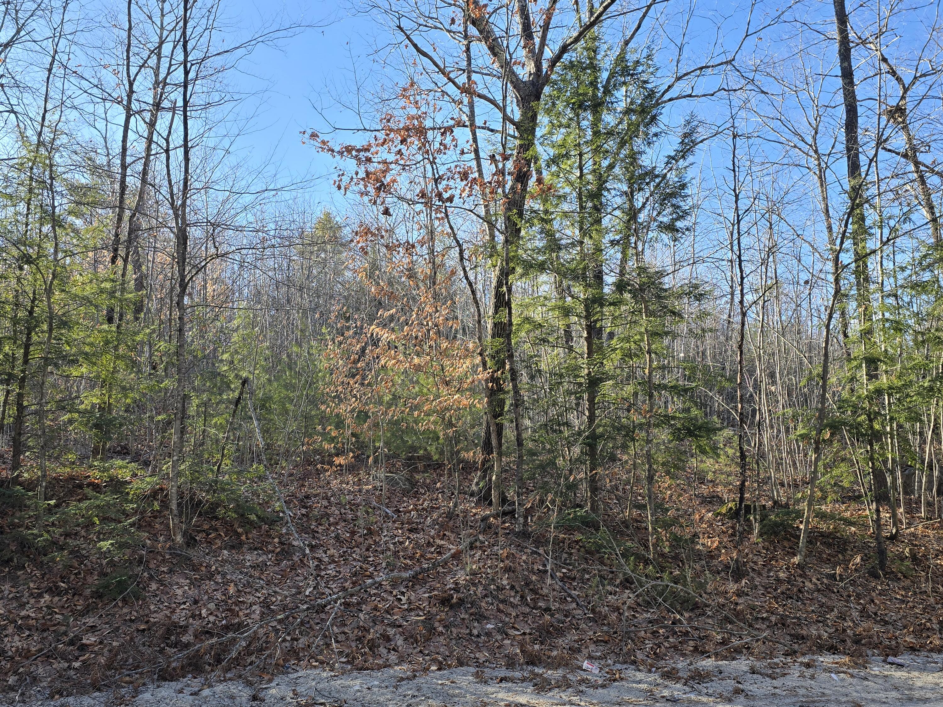 Lot 22 Songo School Road Naples, ME 04055 - Photo 2 of 5 1000001392