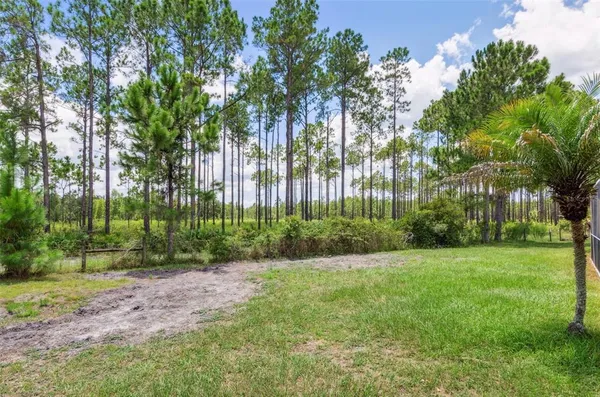 $3,999 | 10222 Arbor Side Drive, Tampa, FL 33647