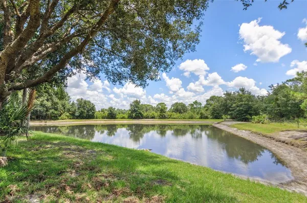 $3,999 | 10222 Arbor Side Drive, Tampa, FL 33647