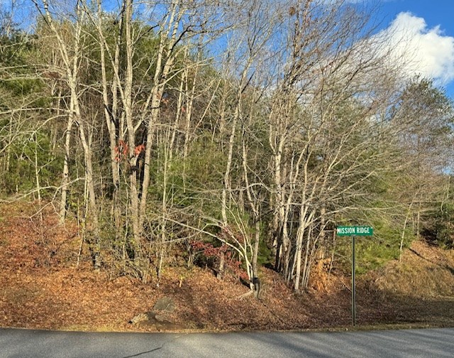 Lot 49 Mission Ridge Hayesville, NC 28904 - Photo 11 of 13