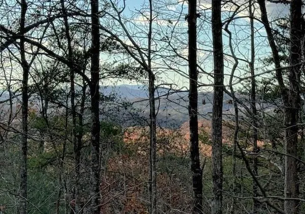 a view of outdoor space
