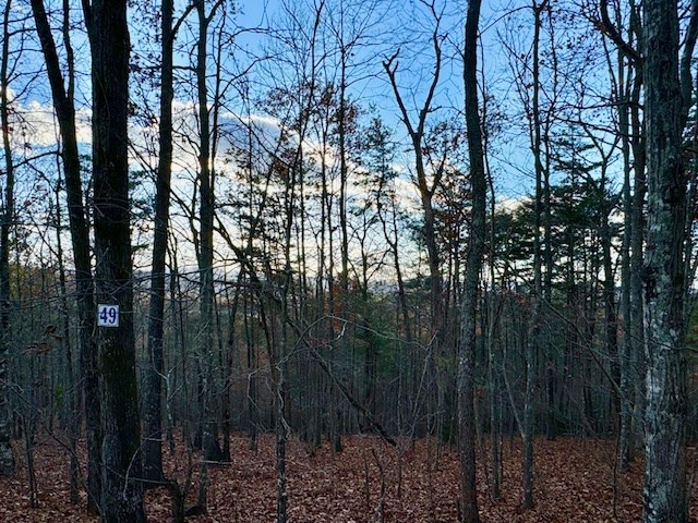 Lot 49 Mission Ridge Hayesville, NC 28904 - Photo 4 of 13 a view of forest
