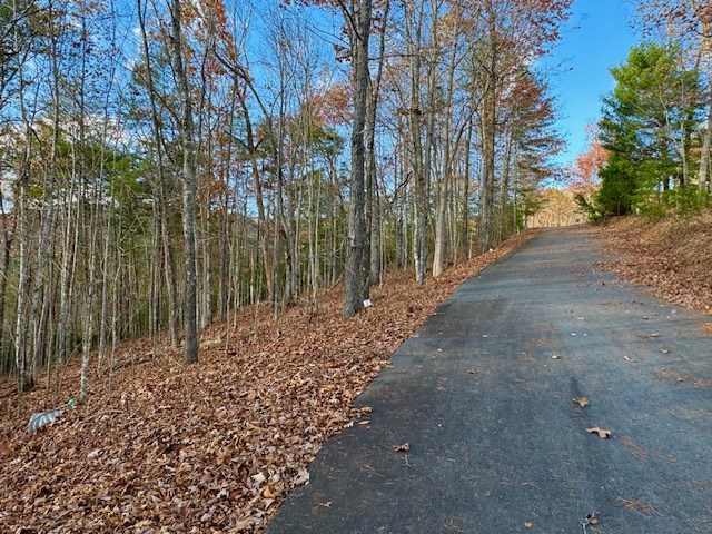 Lot 49 Mission Ridge Hayesville, NC 28904 - Photo 5 of 13 a view of a garden with pathway