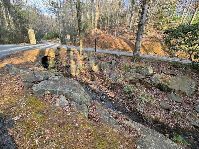Lot 49 Mission Ridge Hayesville, NC 28904 - Photo 7 of 13 a view of a yard with a large tree