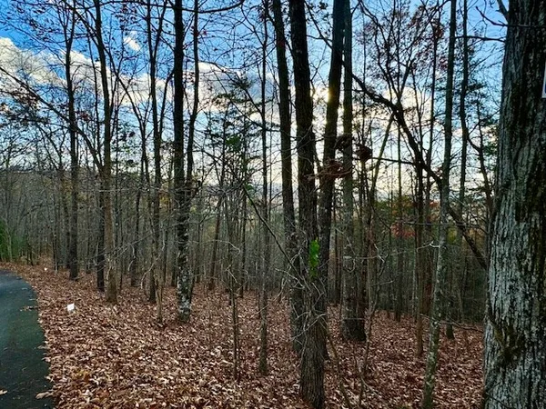 a backyard of a house with large trees