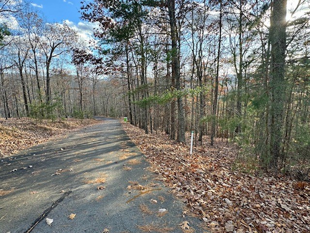 Lot 49 Mission Ridge Hayesville, NC 28904 - Photo 10 of 13 a backyard of a house with large trees