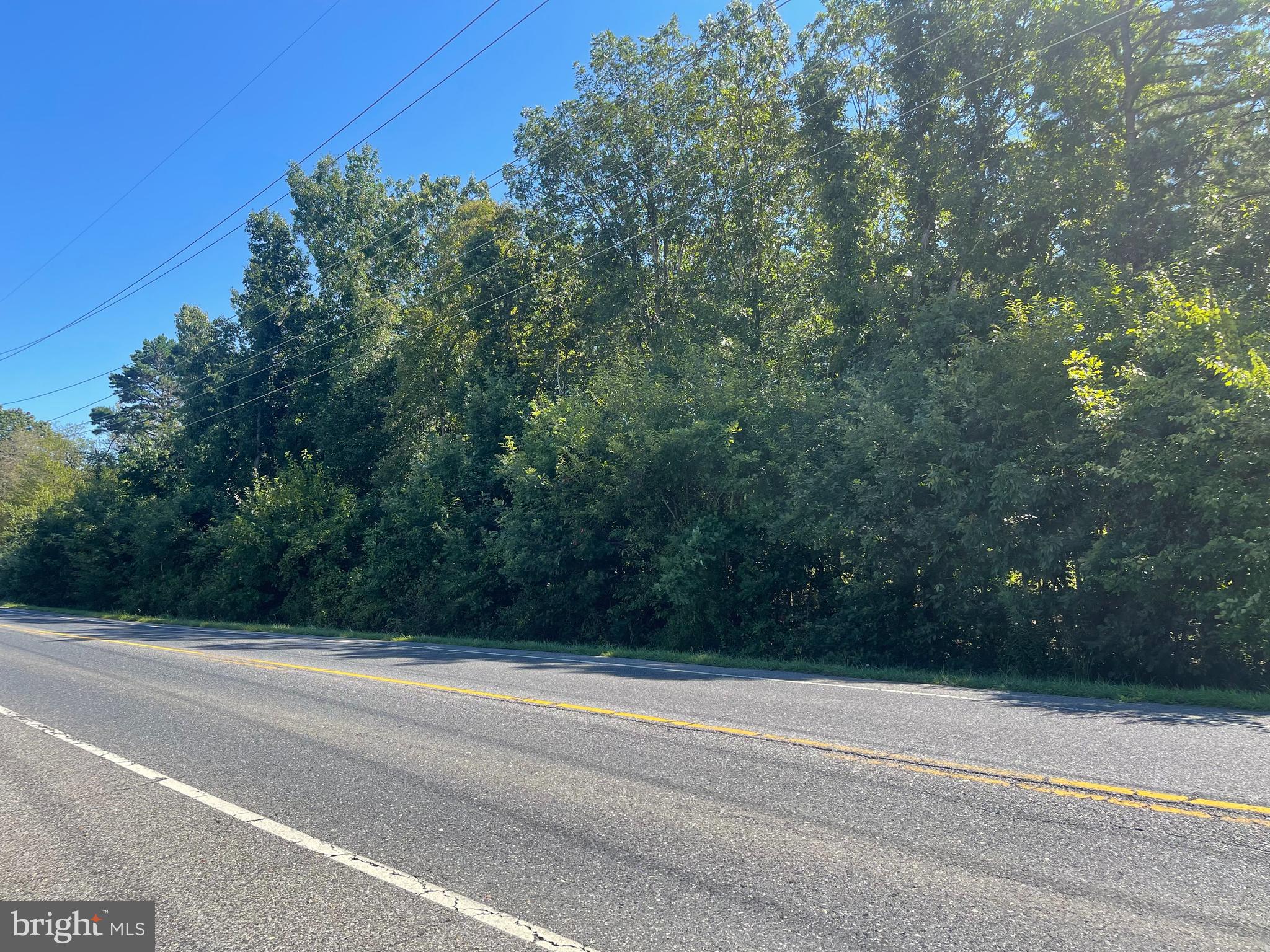 1700 Winslow Road Williamstown, NJ 08094 - Photo 5 of 8 a view of a yard
