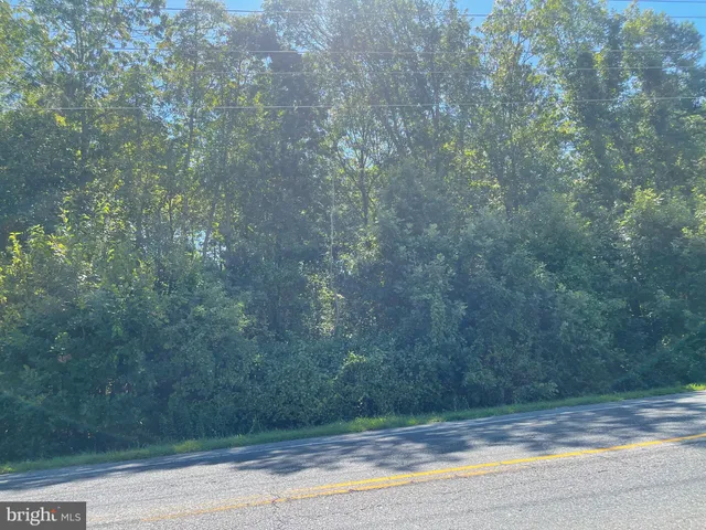 a view of a yard from a room