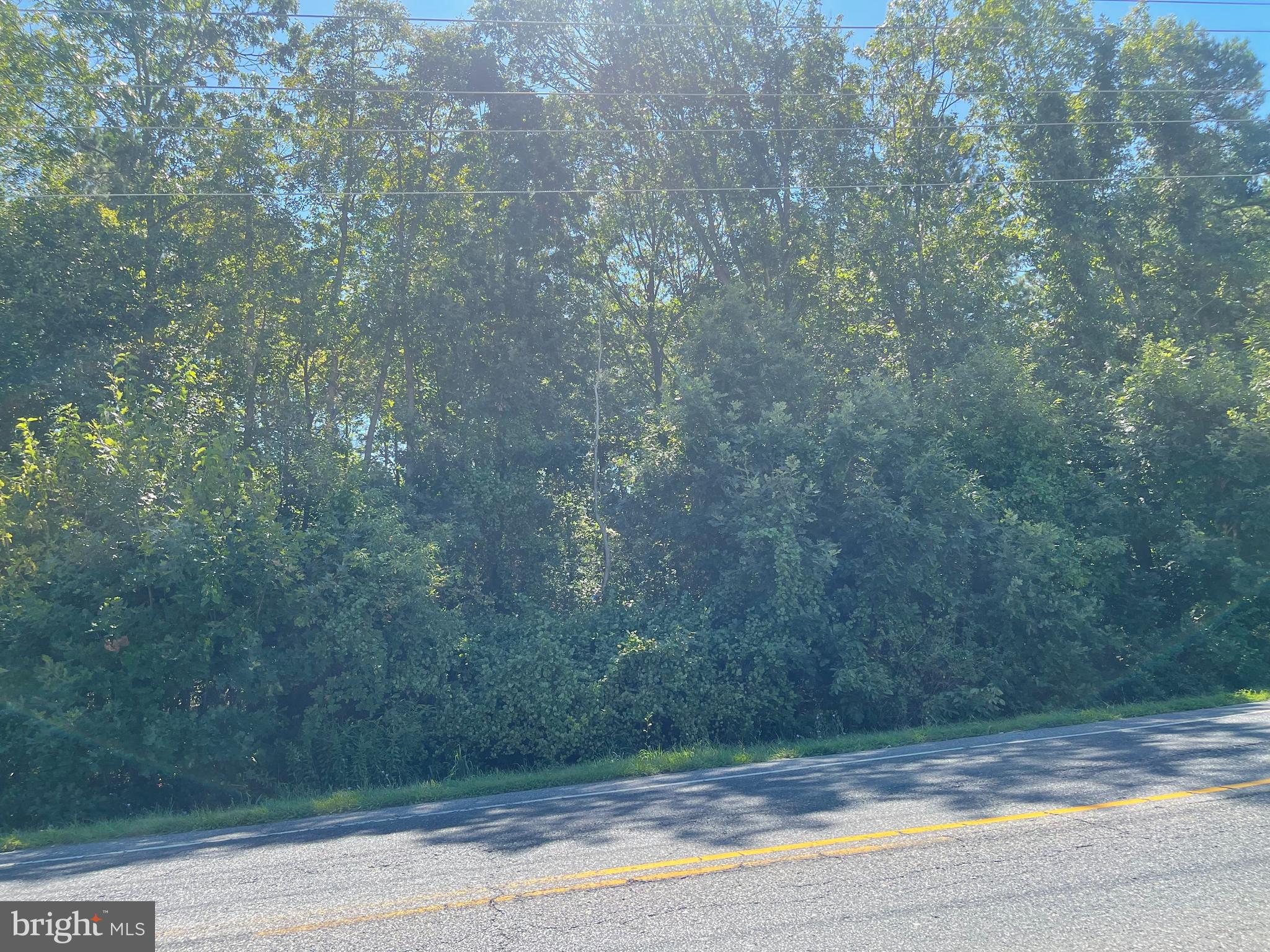 1700 Winslow Road Williamstown, NJ 08094 - Photo 8 of 8 a view of a yard from a room