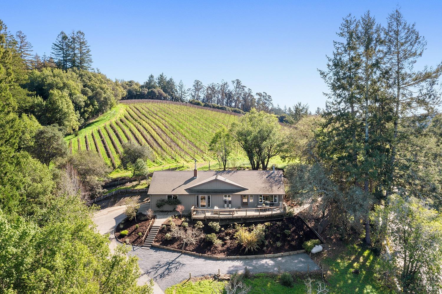 639 Sexton Road Sebastopol, CA 95472 - Photo 1 of 1 a view of a water fountain and an umbrella