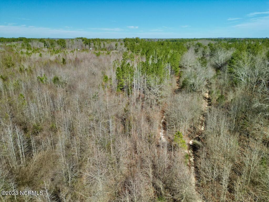 0 Sherman Road Maxton, NC 28364 - Photo 15 of 45 14