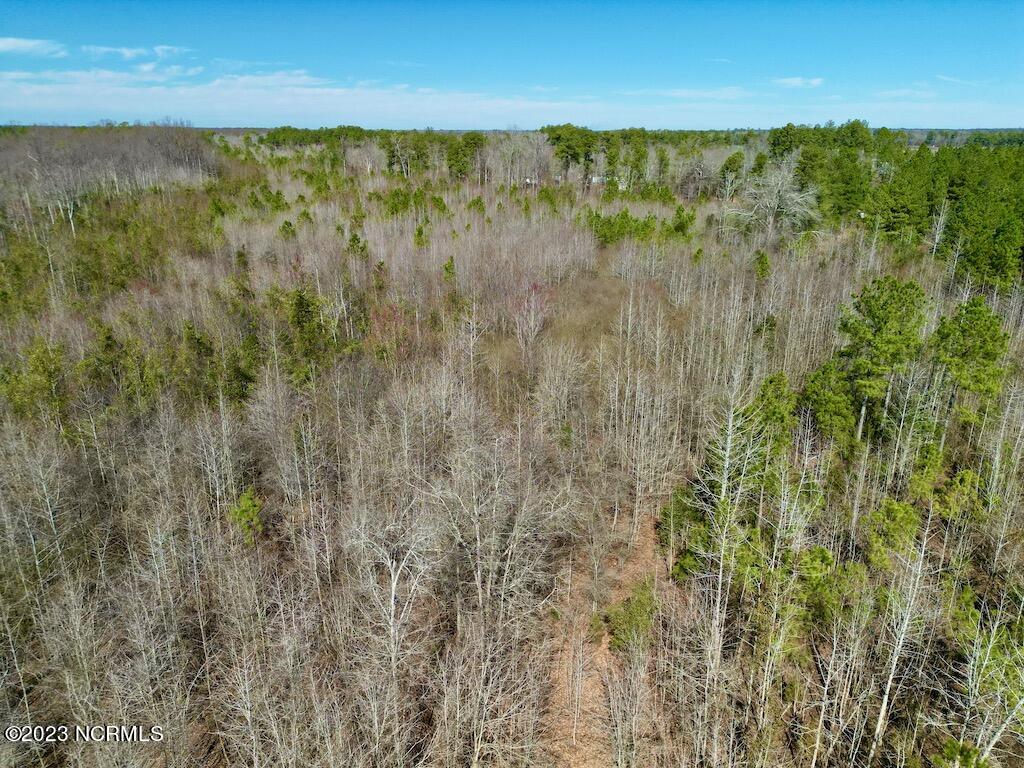 0 Sherman Road Maxton, NC 28364 - Photo 16 of 45 15