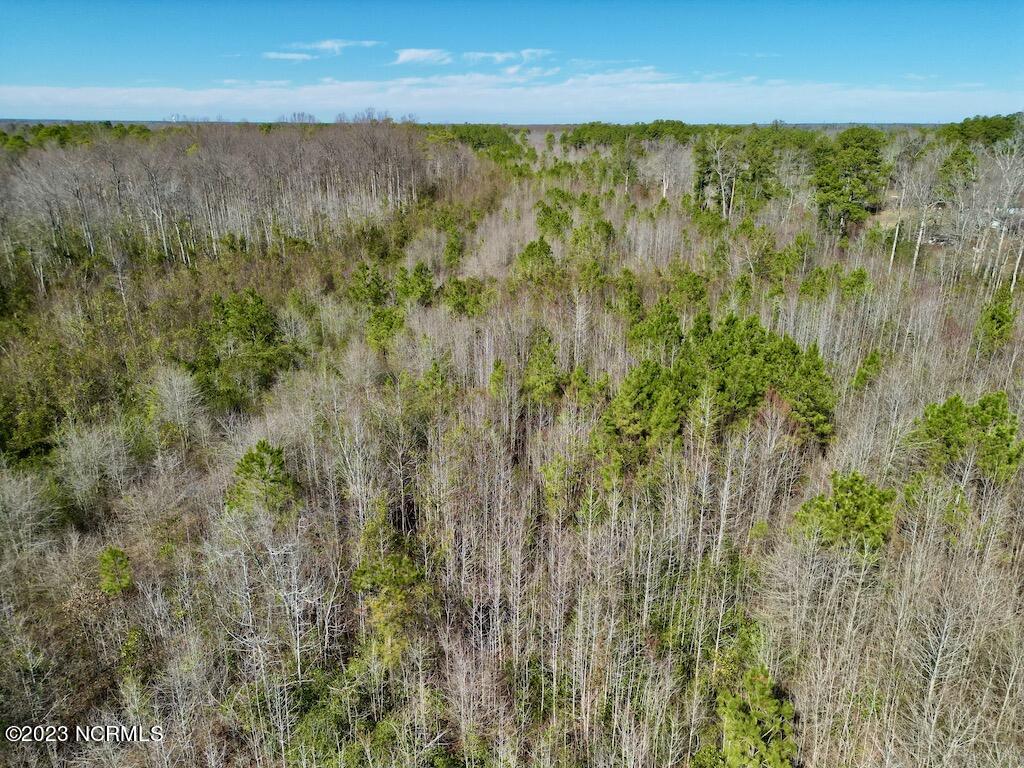 0 Sherman Road Maxton, NC 28364 - Photo 17 of 45 16